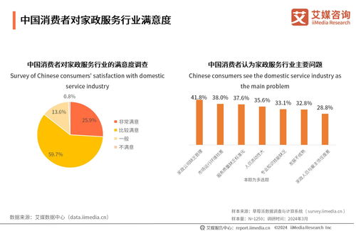 2024-2025年中國家政服務(wù)業(yè)發(fā)展及行業(yè)投資機(jī)遇分析 網(wǎng)絡(luò)技術(shù)驅(qū)動(dòng)的變革與信息咨詢價(jià)值